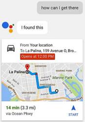 Google-Assistant-Local-Info