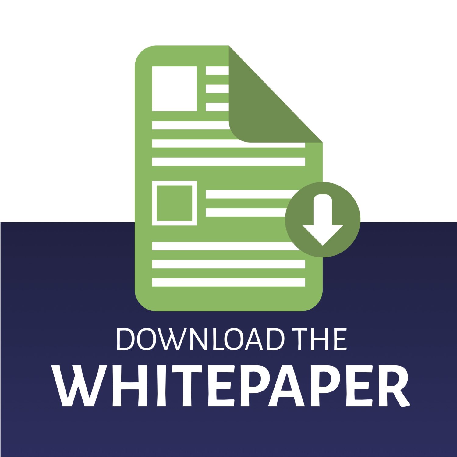 b2b white paper