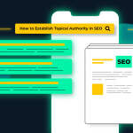 How to Establish Topical Authority in SEO